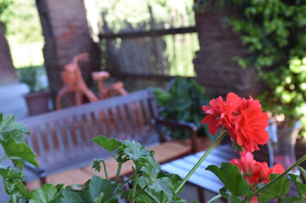 La Casa Di Enzo Bed & Breakfast Lequio Tanaro Dış mekan fotoğraf