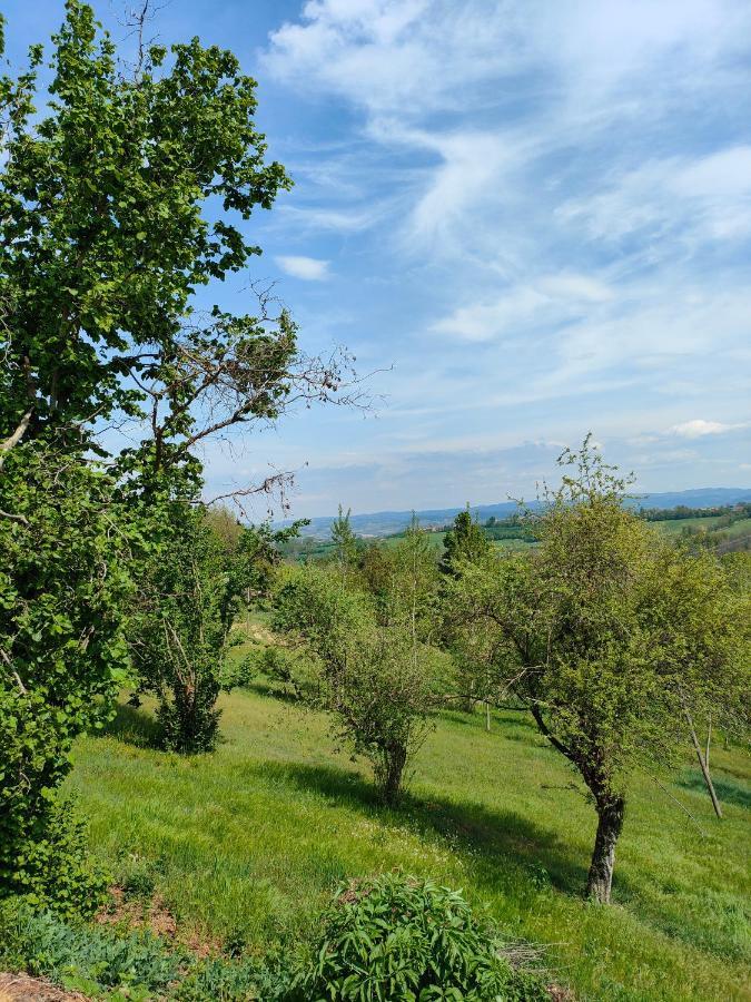 La Casa Di Enzo Bed & Breakfast Lequio Tanaro Dış mekan fotoğraf